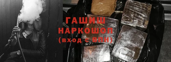 прущие грибы Бородино