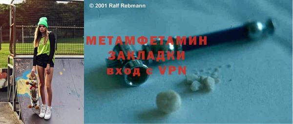 прущие грибы Бородино