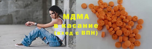 прущие грибы Бородино