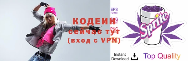 прущие грибы Бородино