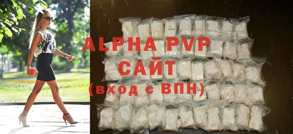 прущие грибы Бородино