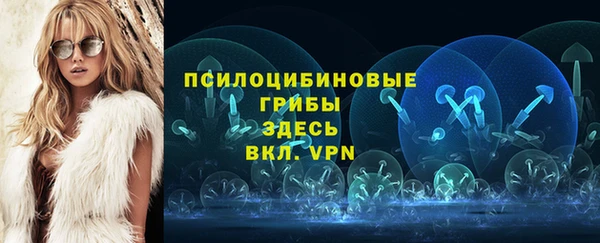прущие грибы Бородино