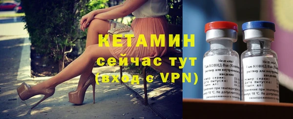 прущие грибы Бородино