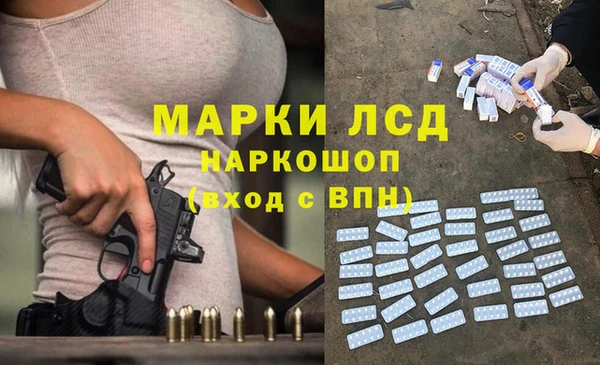прущие грибы Бородино