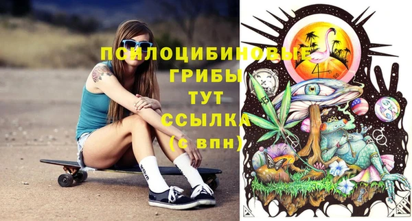 прущие грибы Бородино