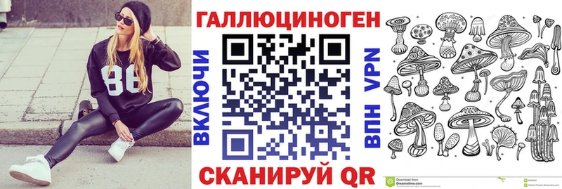 Купить закладки  Верхний Тагил  Галлюциногенные грибы Cubensis 